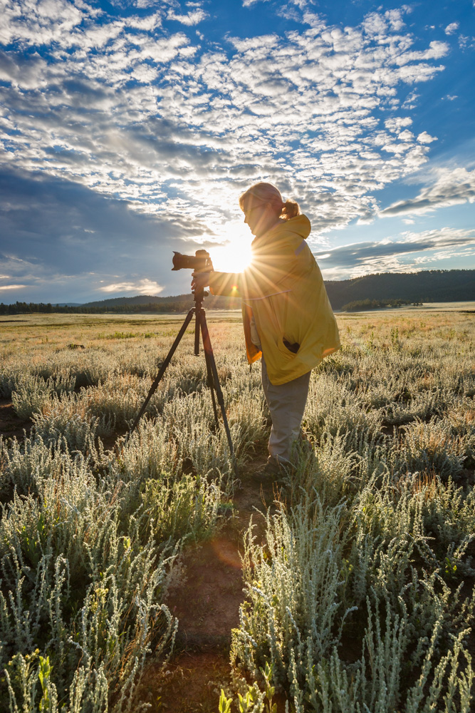 Past President Teri White enjoying taking photos of God's beauty.